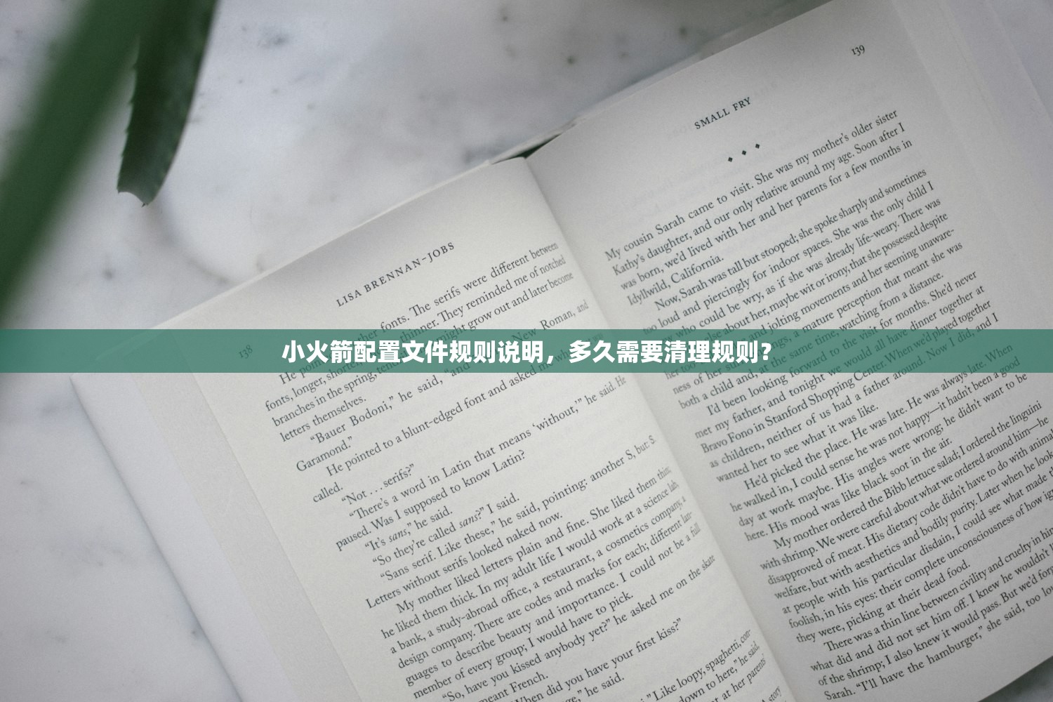 小火箭配置文件规则说明,多久需要清理规则?