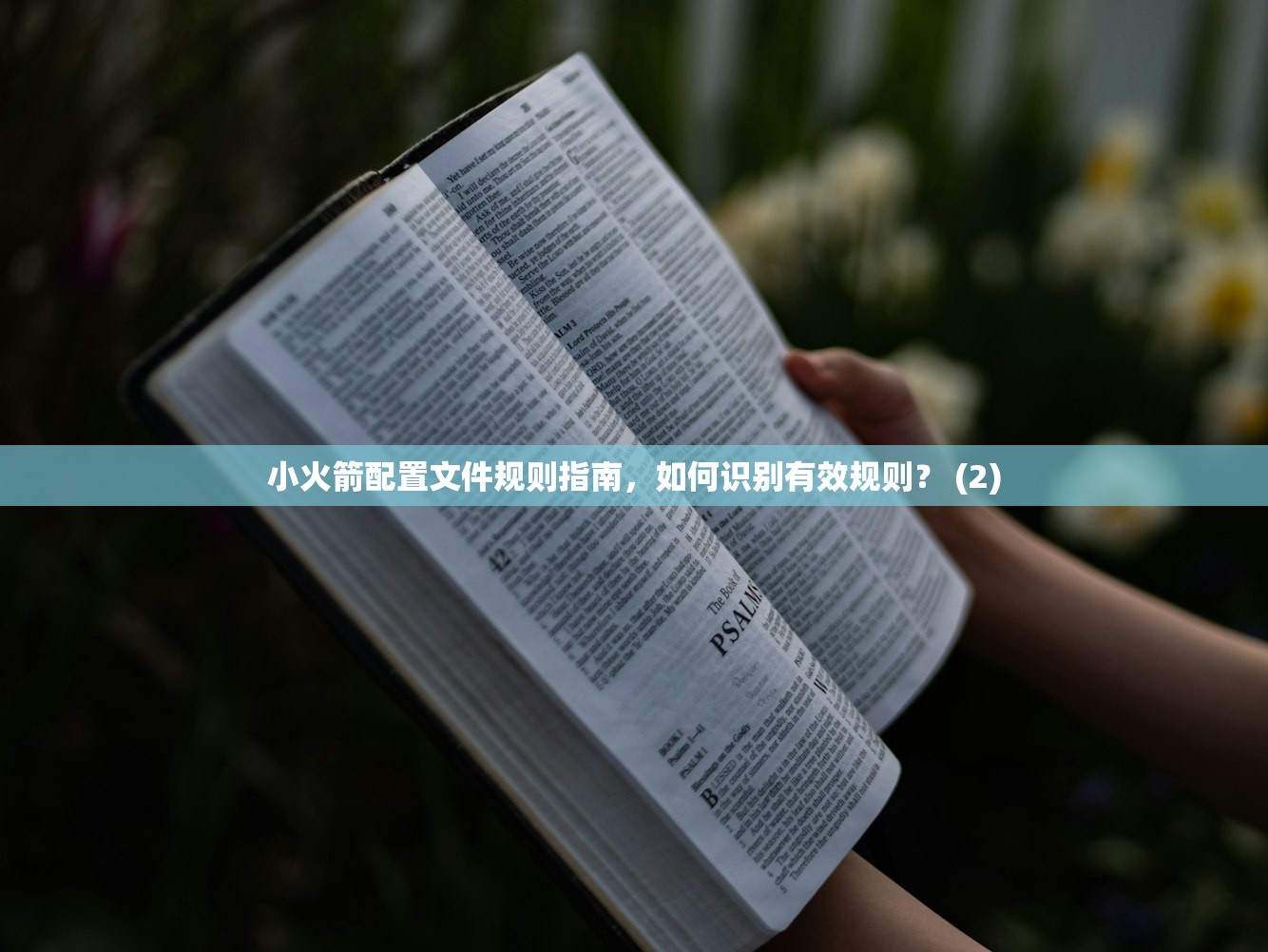 0 免费的美区苹果ID0,免费账号与付费账号对比解析!