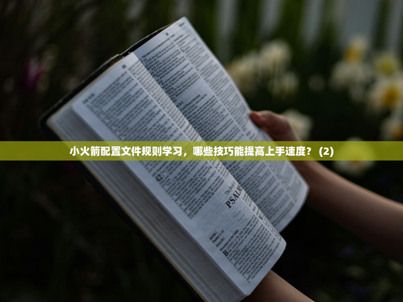 0 好用的美区苹果Apple ID推荐，怎么快速激活？