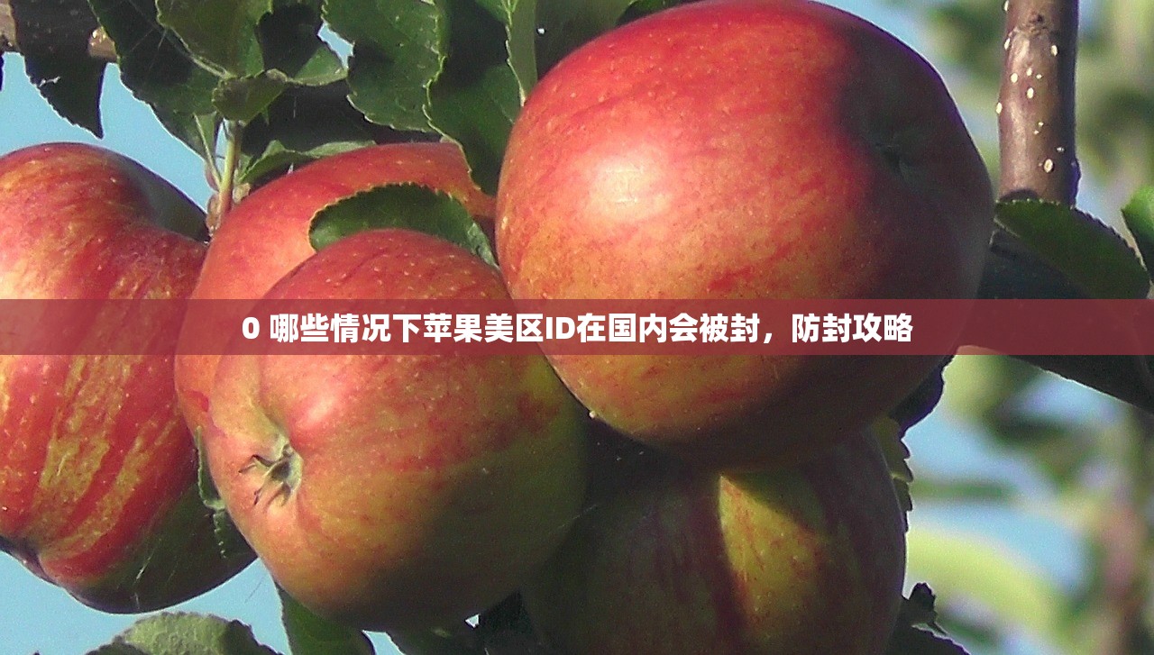 0 哪些情况下苹果美区ID在国内会被封,防封攻略