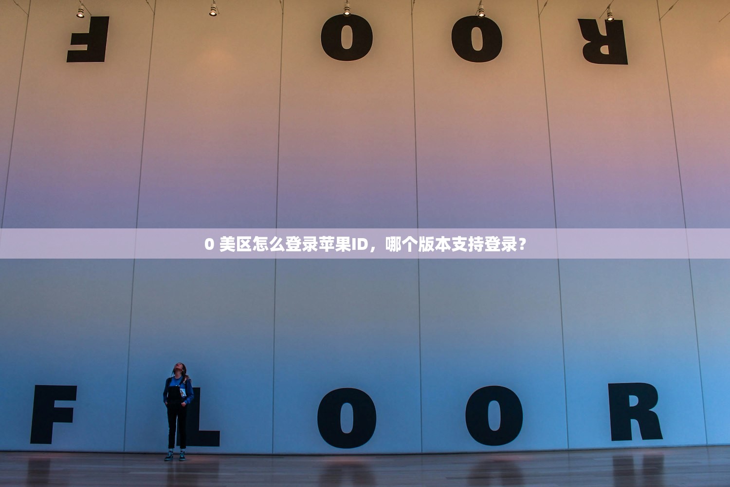 0 美区怎么登录苹果ID，哪个版本支持登录？