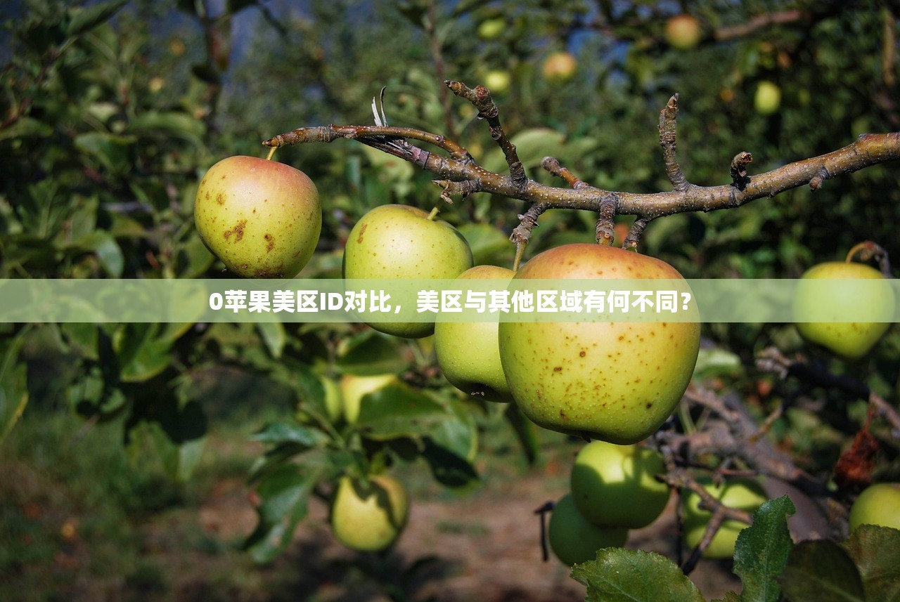 0苹果美区ID对比,美区与其他区域有何不同?