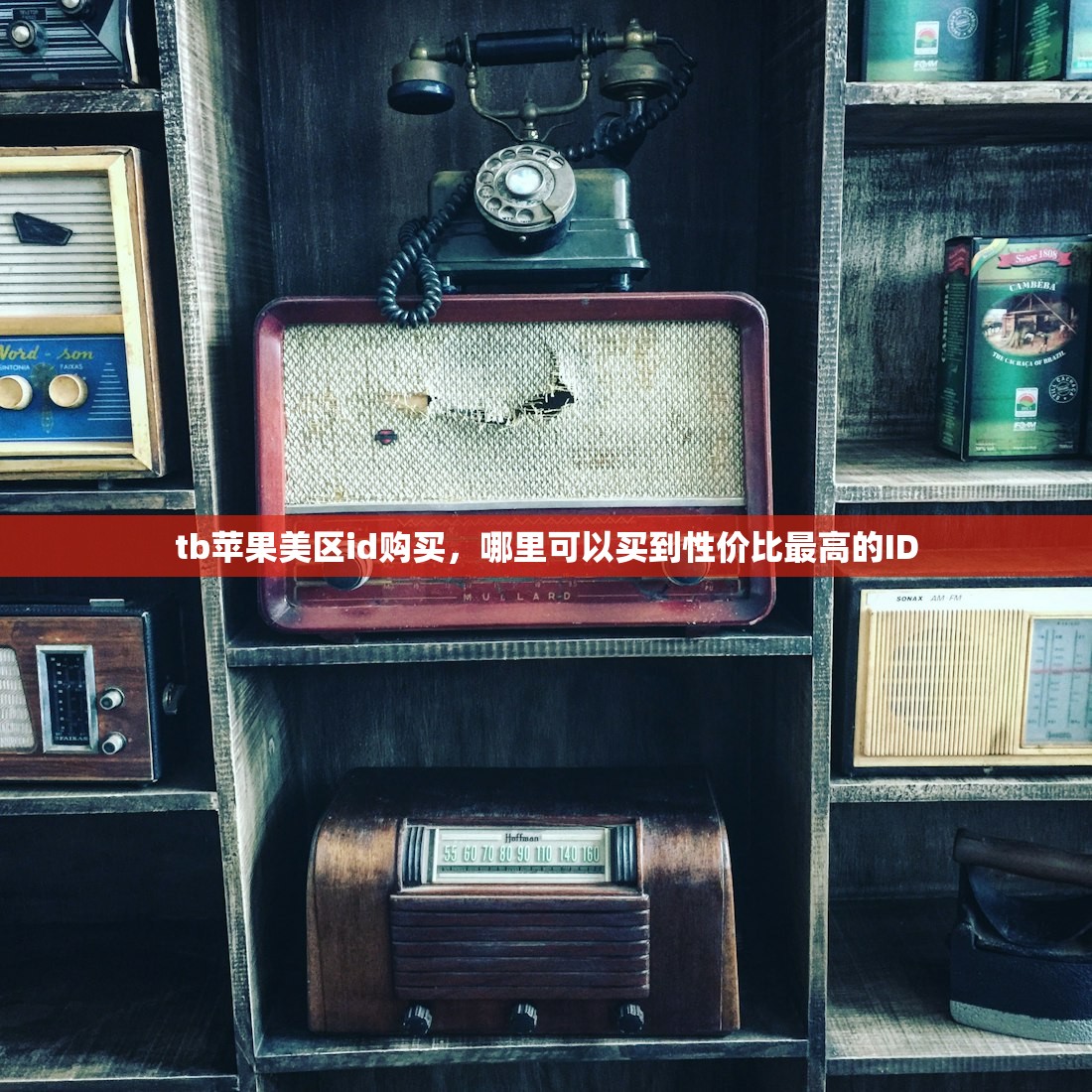 tb苹果美区id购买，哪里可以买到性价比最高的ID
