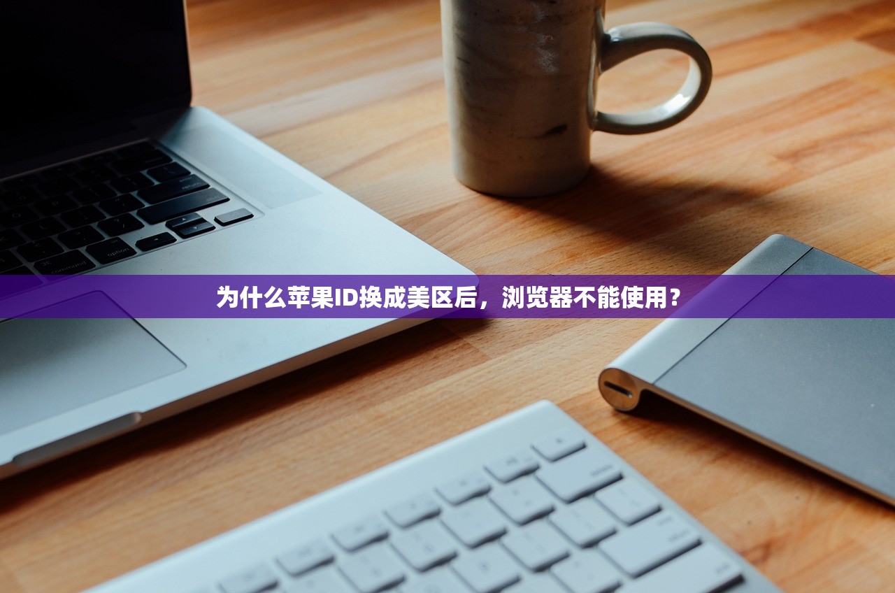为什么苹果ID换成美区后,浏览器不能使用?