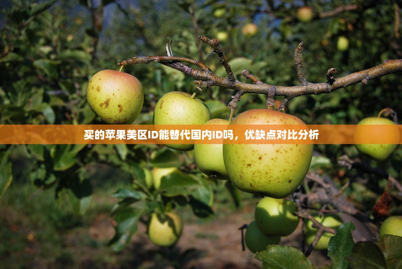 买的苹果美区ID能替代国内ID吗,优缺点对比分析