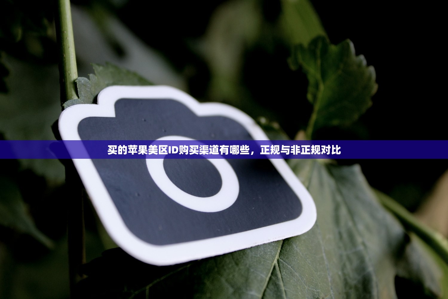 买的苹果美区ID购买渠道有哪些,正规与非正规对比