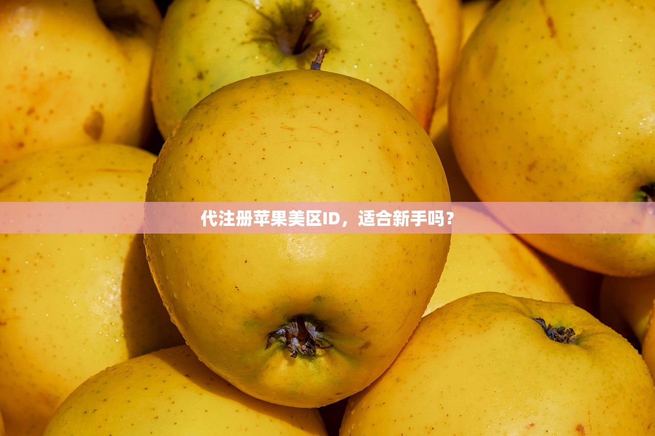 代注册苹果美区ID,适合新手吗?