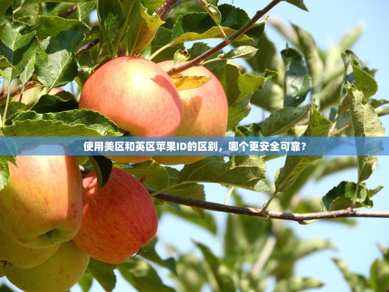 使用美区和英区苹果ID的区别,哪个更安全可靠?