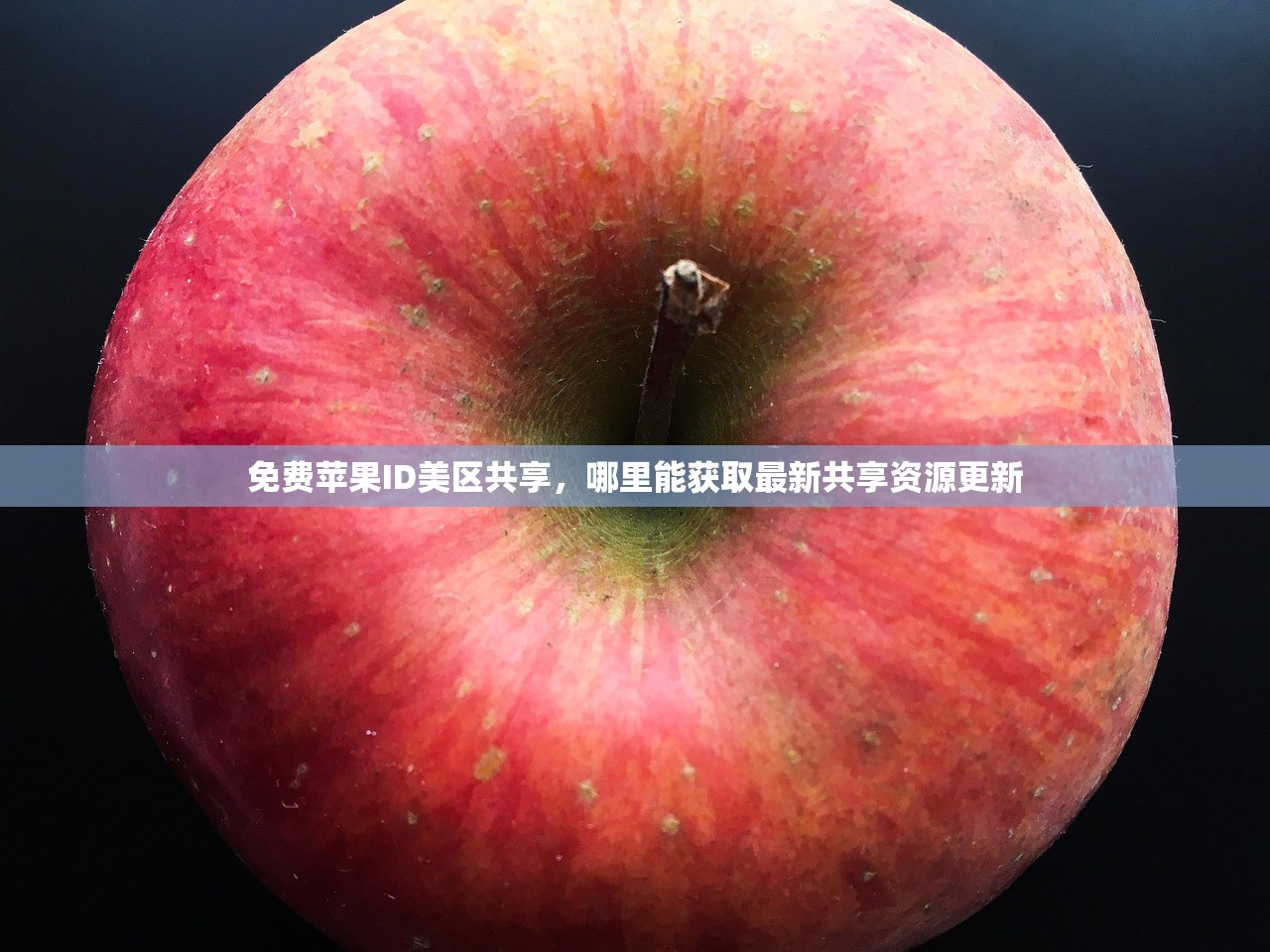免费苹果ID美区共享,哪里能获取最新共享资源更新