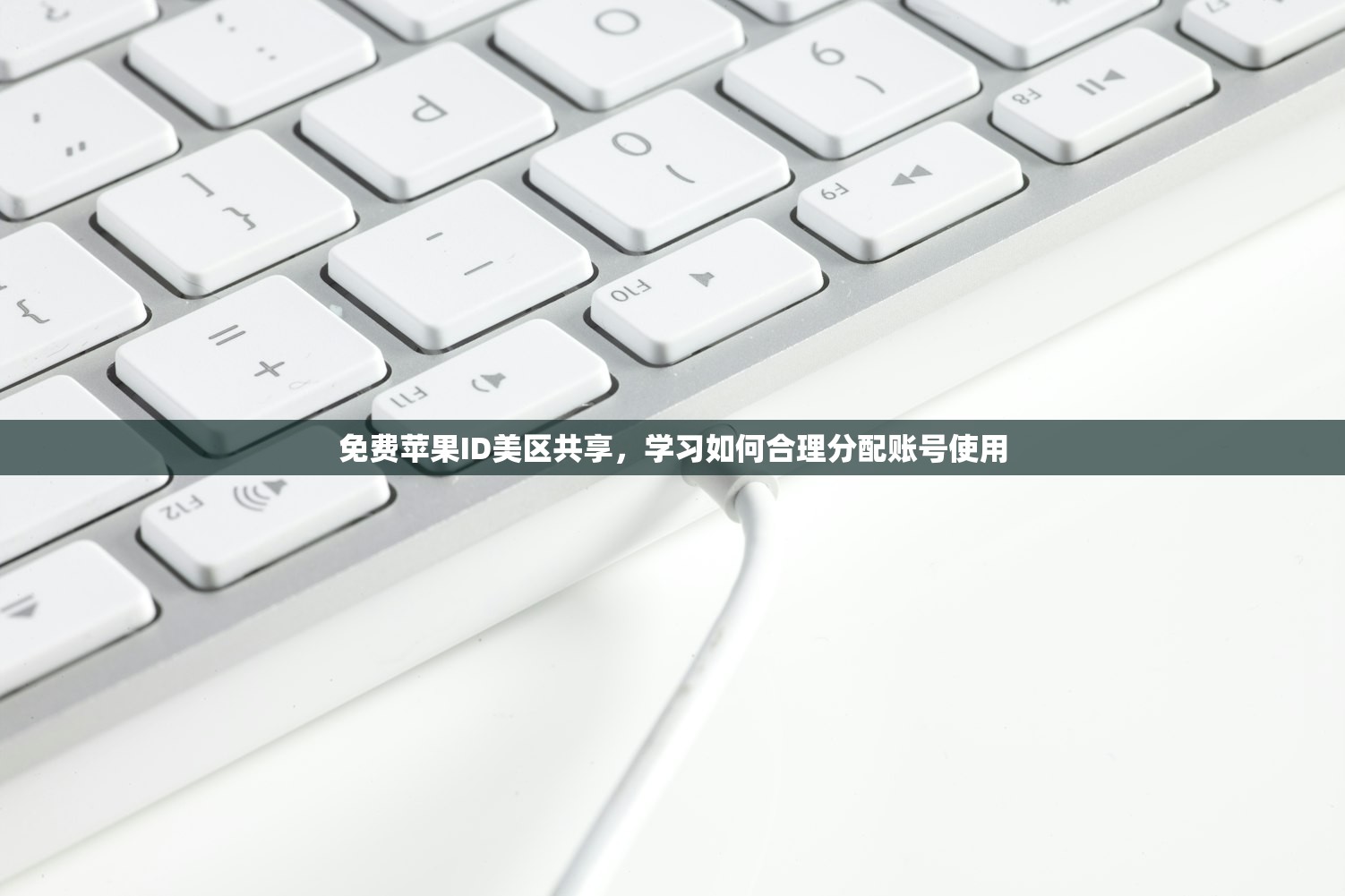 免费苹果ID美区共享,学习如何合理分配账号使用