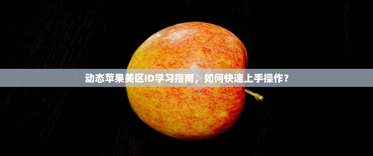 动态苹果美区ID学习指南,如何快速上手操作?