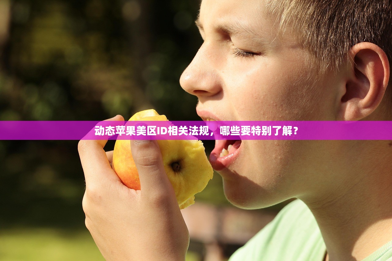 动态苹果美区ID相关法规,哪些要特别了解?