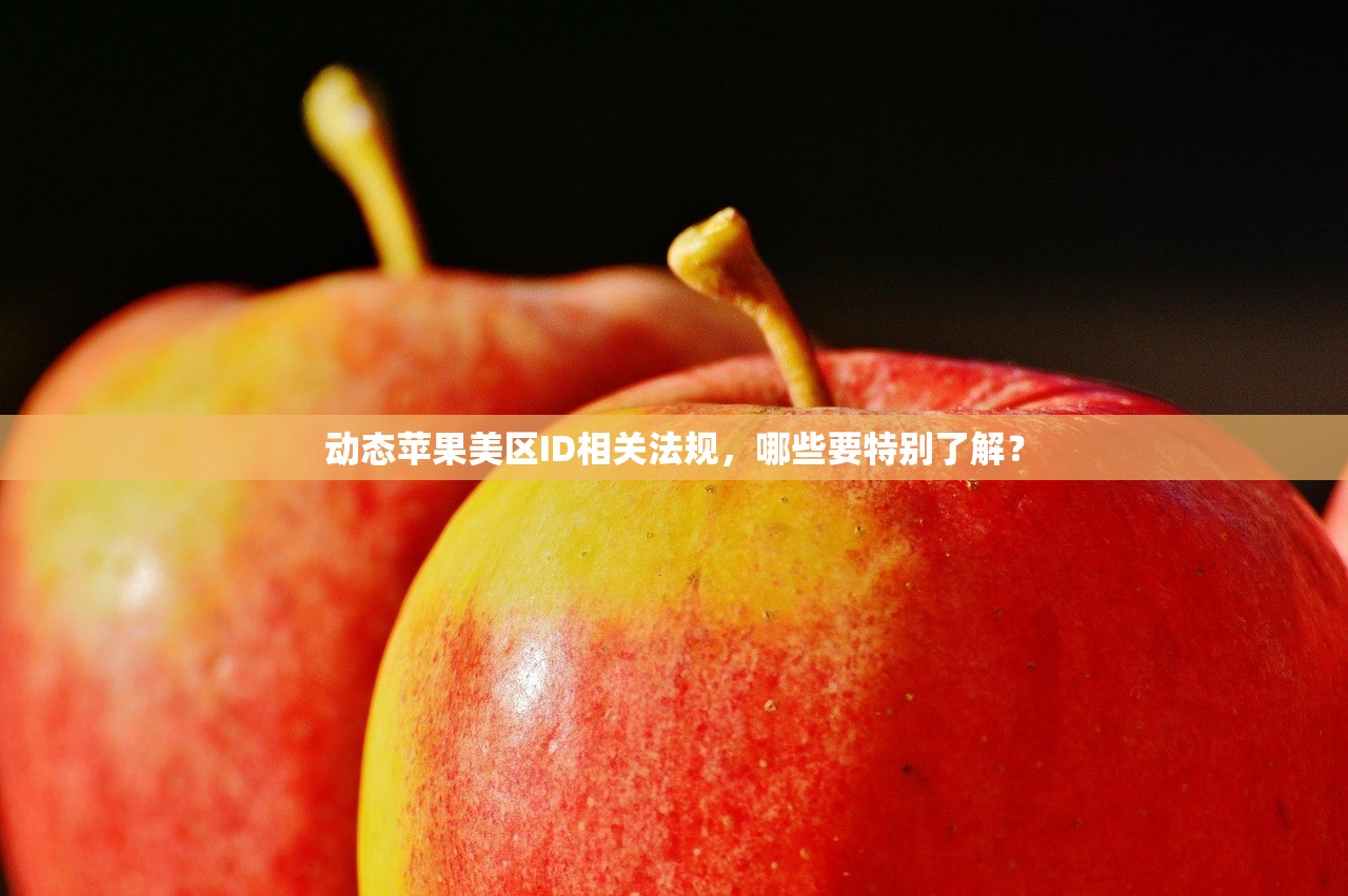 动态苹果美区ID相关法规,哪些要特别了解?