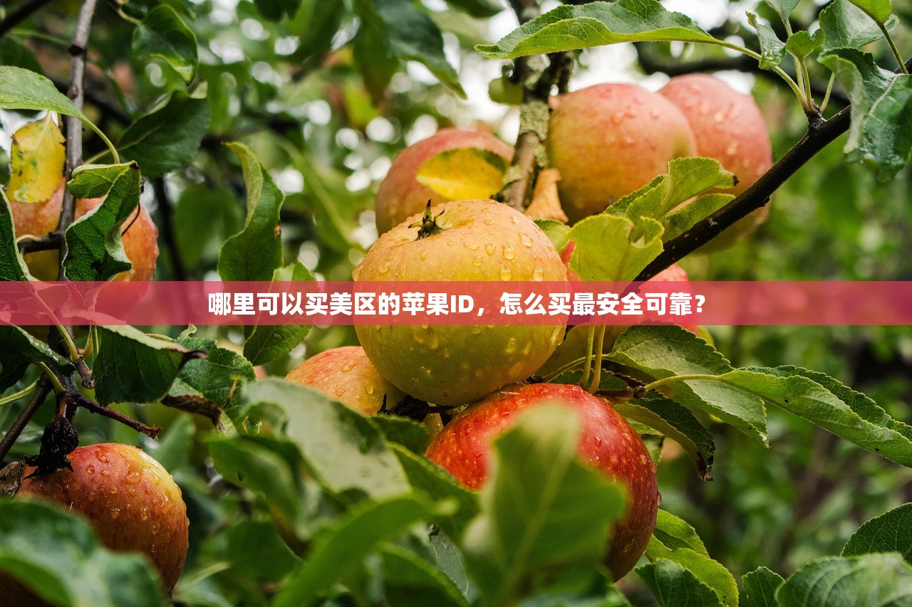 哪里可以买美区的苹果ID,怎么买最安全可靠?