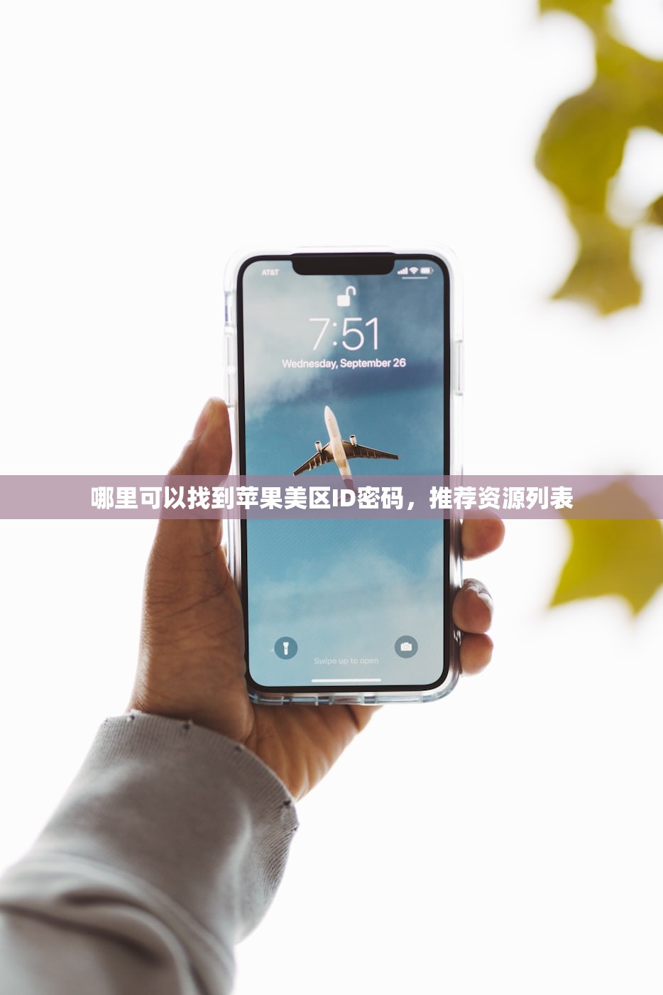 哪里可以找到苹果美区ID密码,推荐资源列表