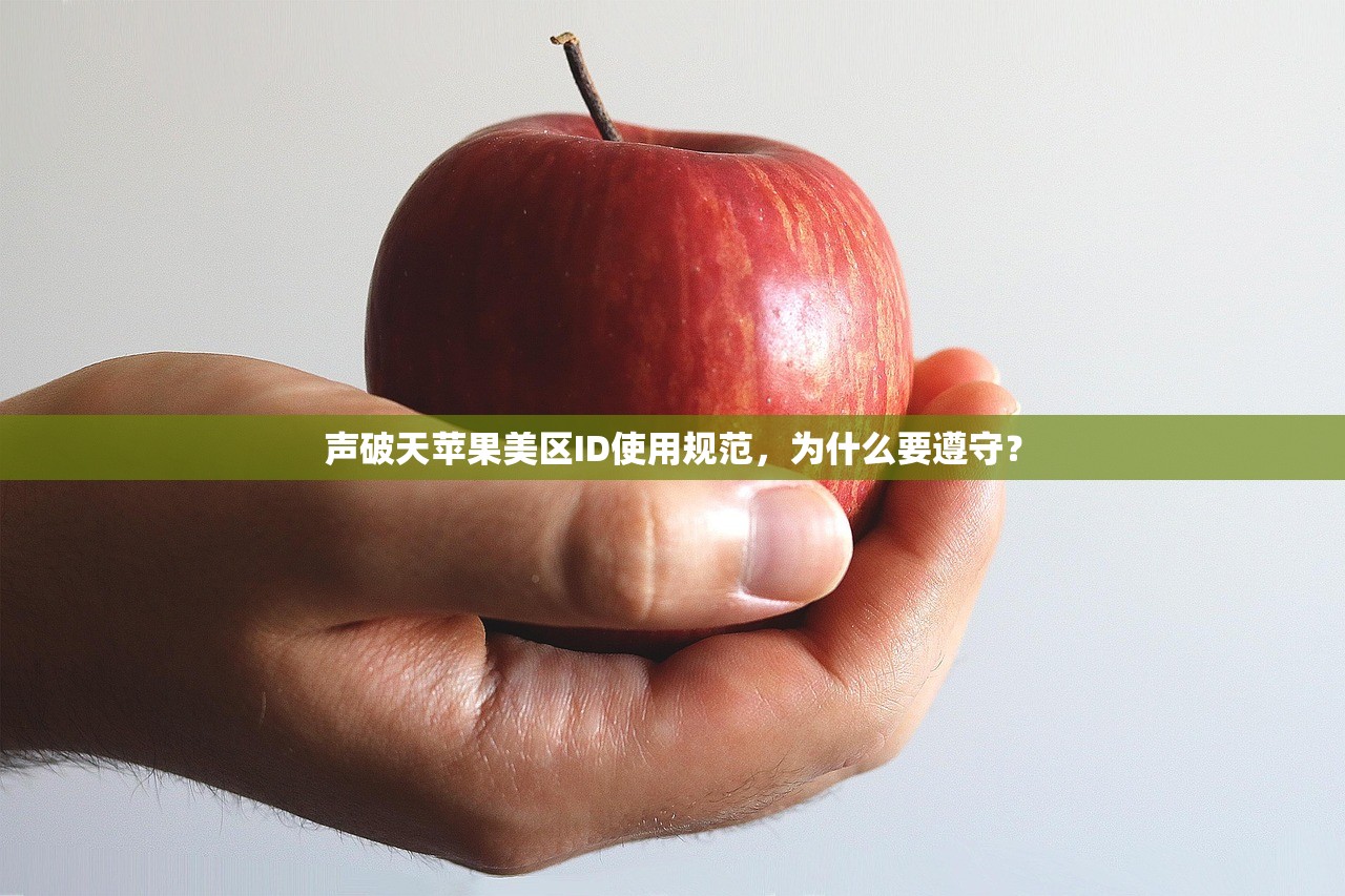 声破天苹果美区ID使用规范,为什么要遵守?