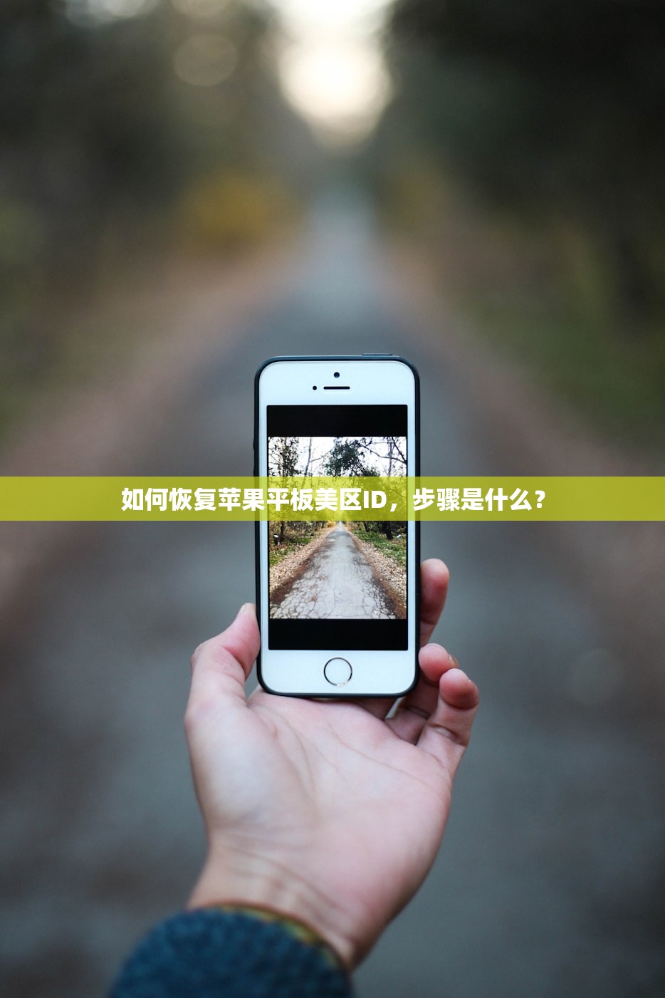 如何恢复苹果平板美区ID,步骤是什么?