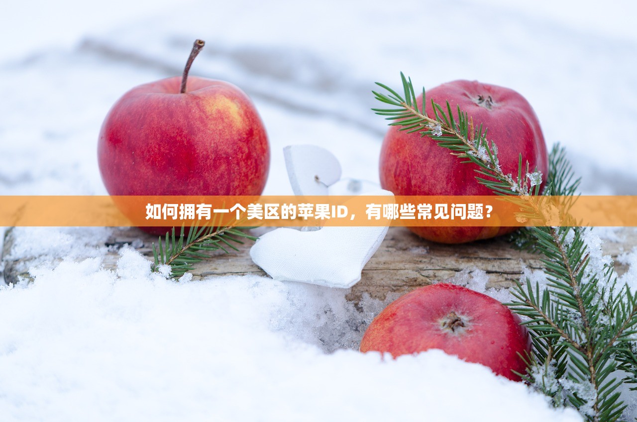 如何拥有一个美区的苹果ID，有哪些常见问题？