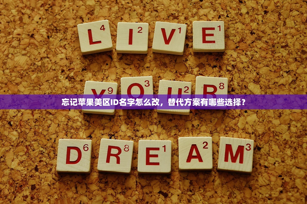 忘记苹果美区ID名字怎么改，替代方案有哪些选择？