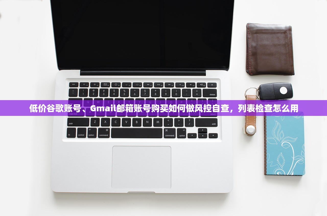 低价谷歌账号、Gmail邮箱账号购买如何做风控自查,列表检查怎么用