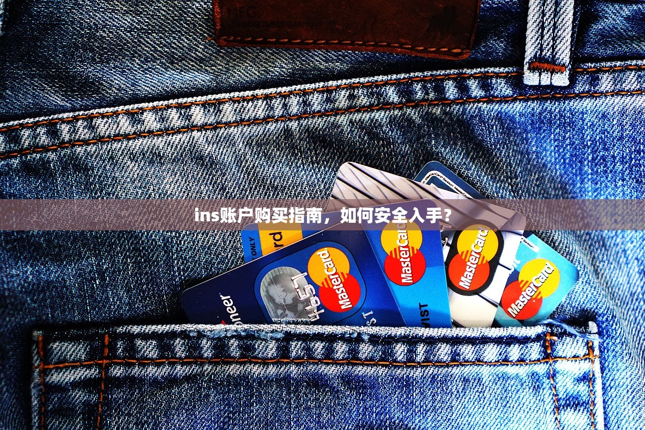 ins账户购买指南,如何安全入手?