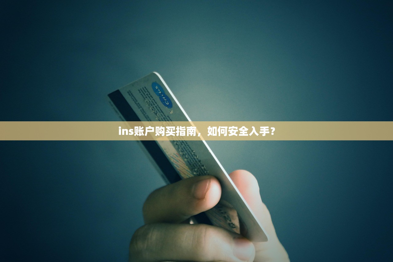 ins账户购买指南,如何安全入手?