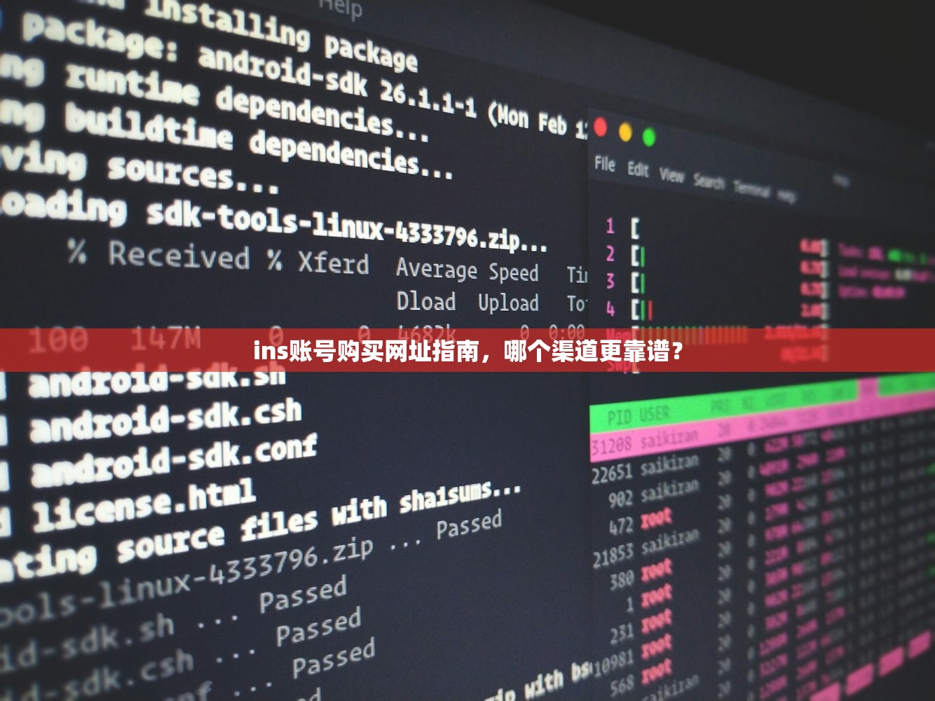 ins账号购买网址指南，哪个渠道更靠谱？