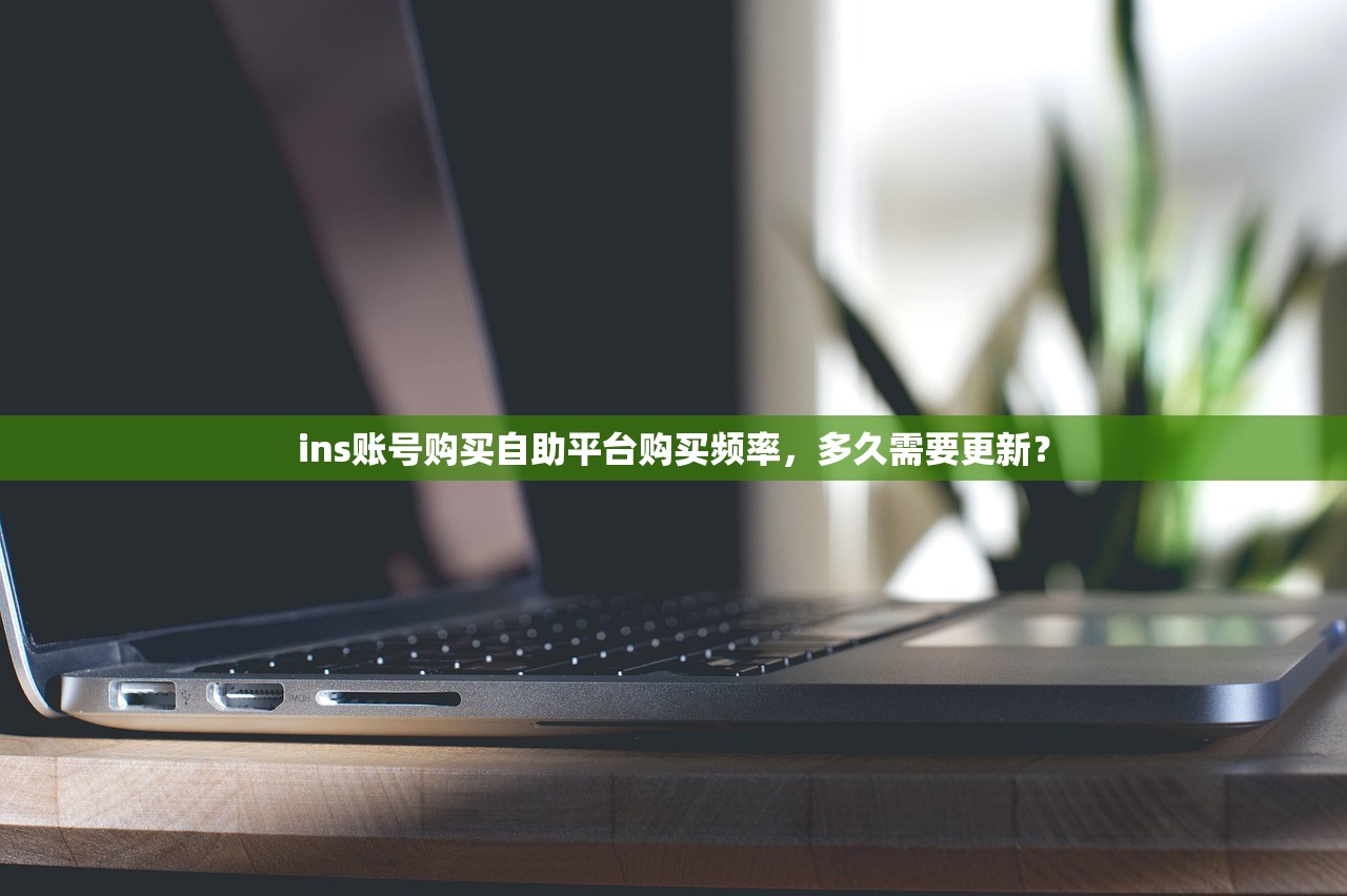 ins账号购买自助平台购买频率,多久需要更新?