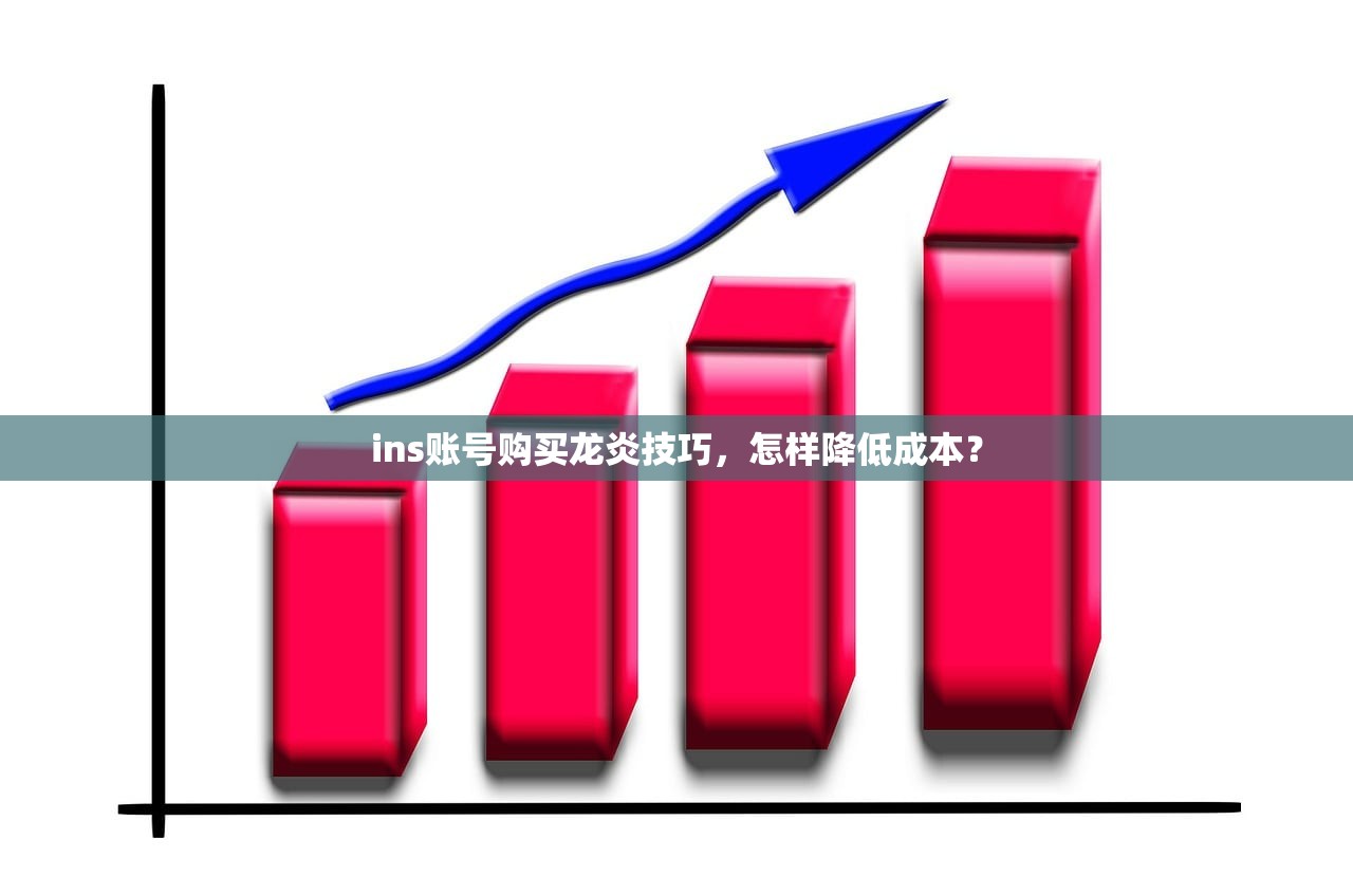 ins账号购买龙炎技巧,怎样降低成本?