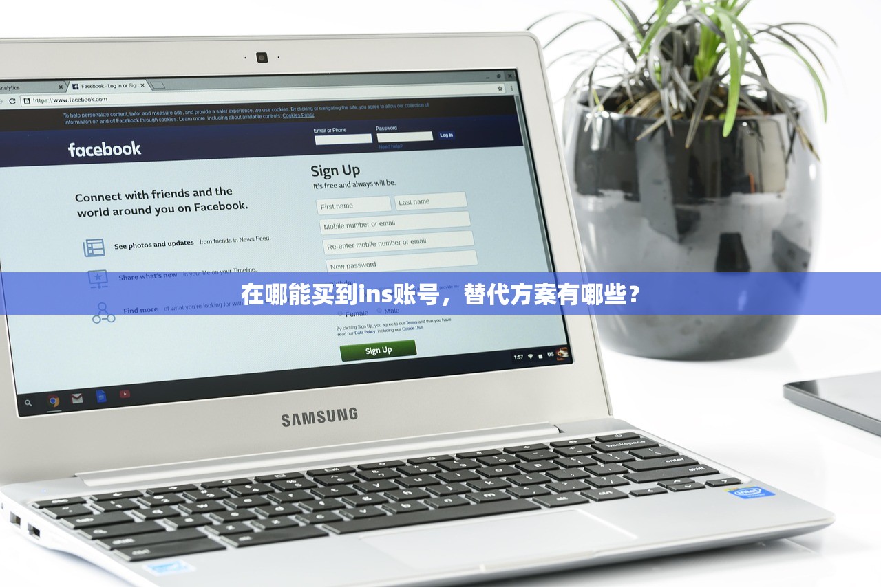 在哪能买到ins账号，替代方案有哪些？