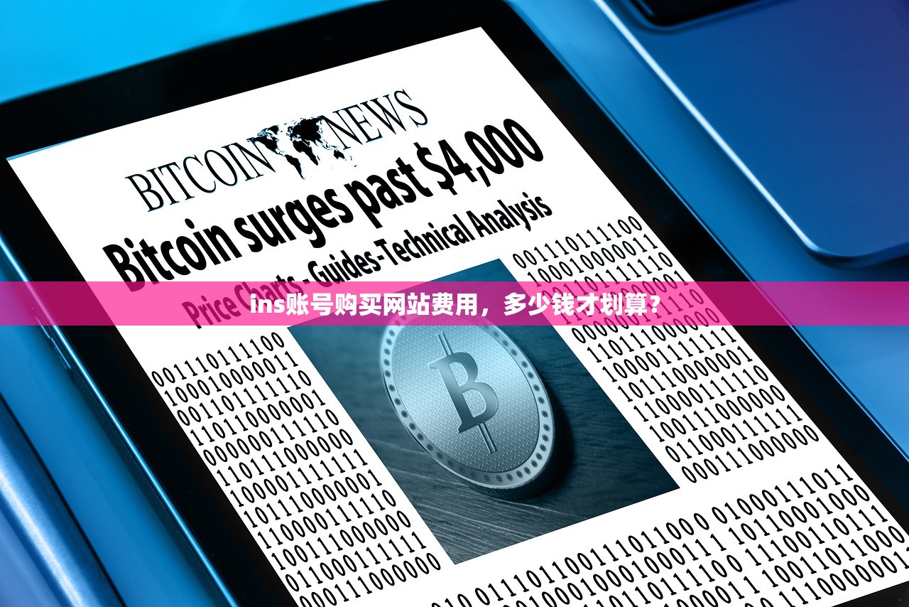 ins账号购买网站费用,多少钱才划算?