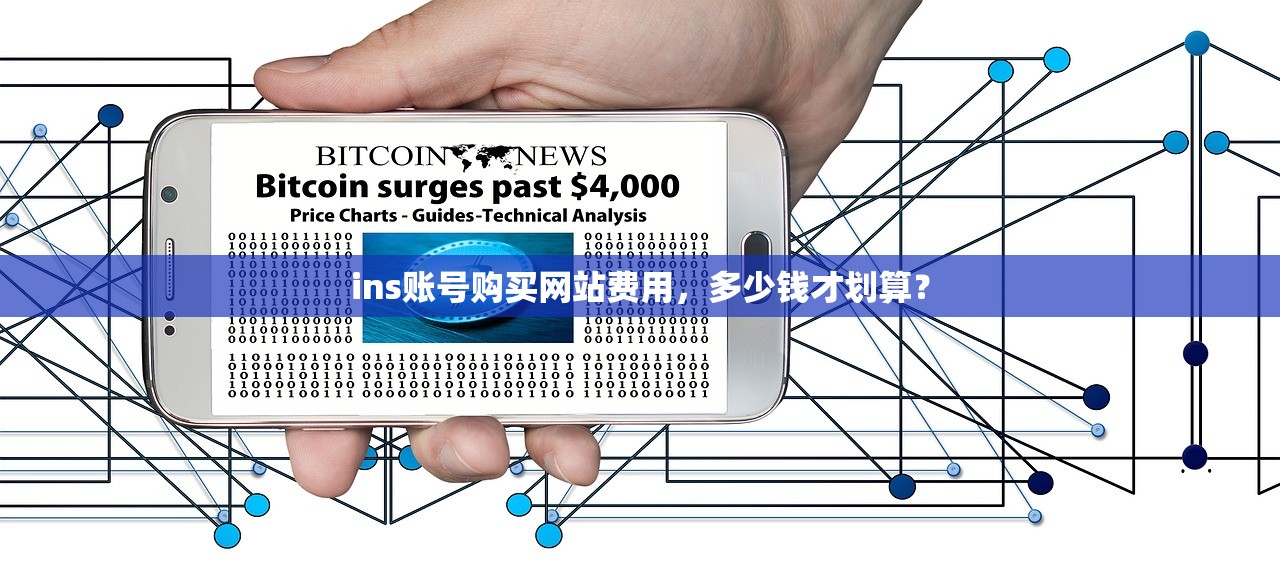 ins账号购买网站费用,多少钱才划算?
