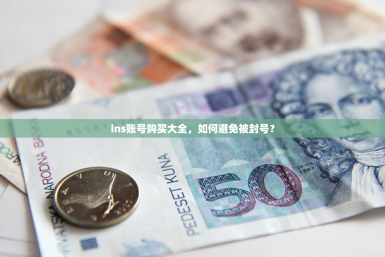 ins账号购买大全,如何避免被封号?