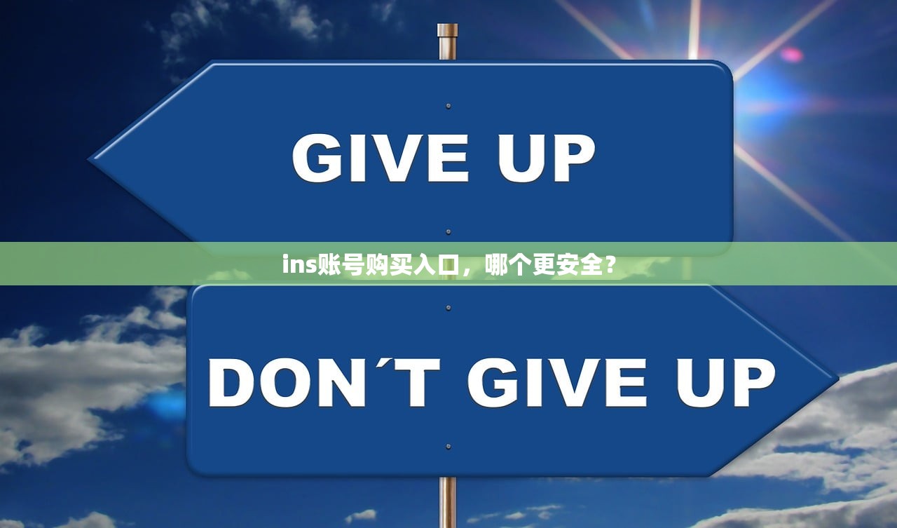 ins账号购买入口,哪个更安全?