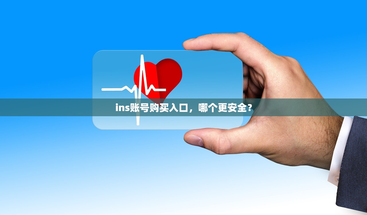 ins账号购买入口，哪个更安全？