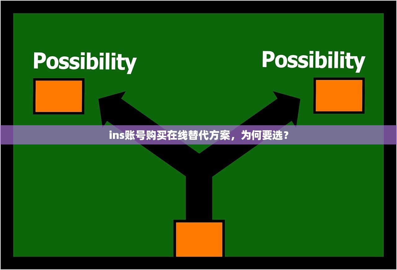 ins账号购买在线替代方案，为何要选？