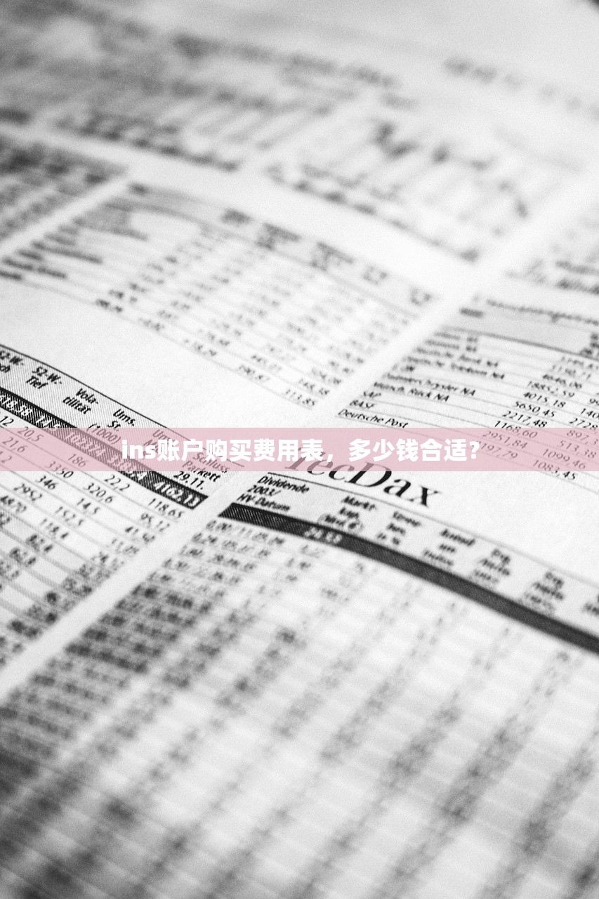 ins账户购买费用表,多少钱合适?