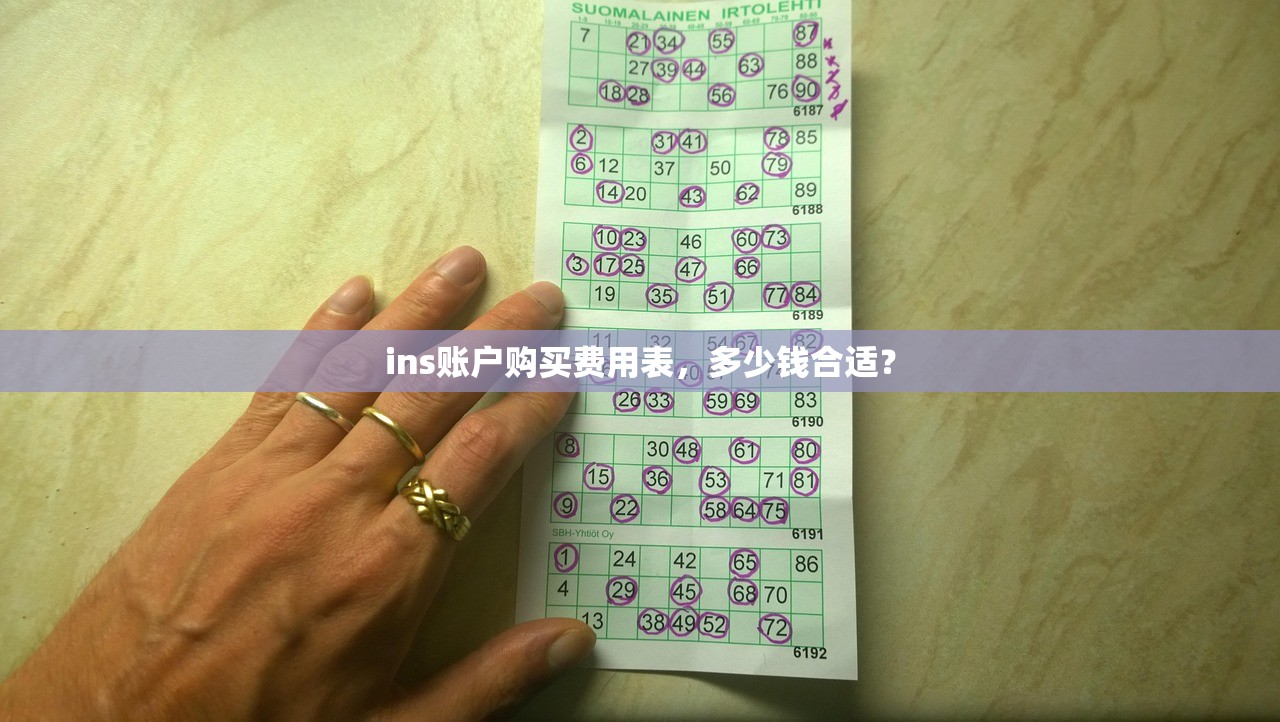 ins账户购买费用表,多少钱合适?