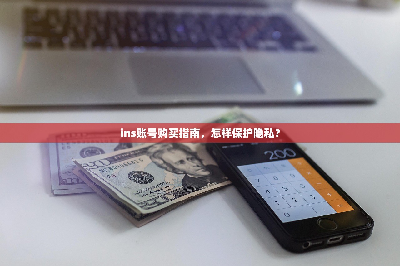ins账号购买指南，怎样保护隐私？