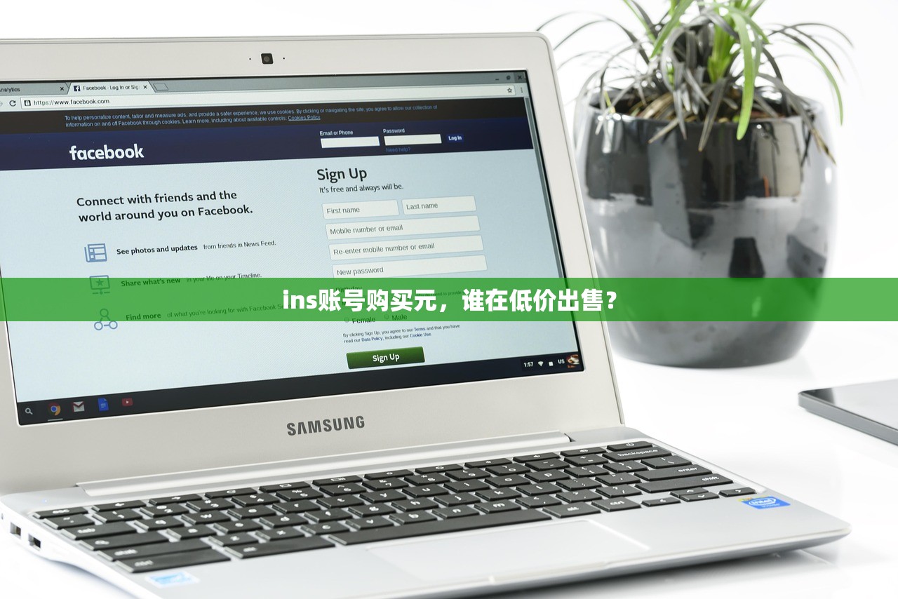 ins账号购买元,谁在低价出售?