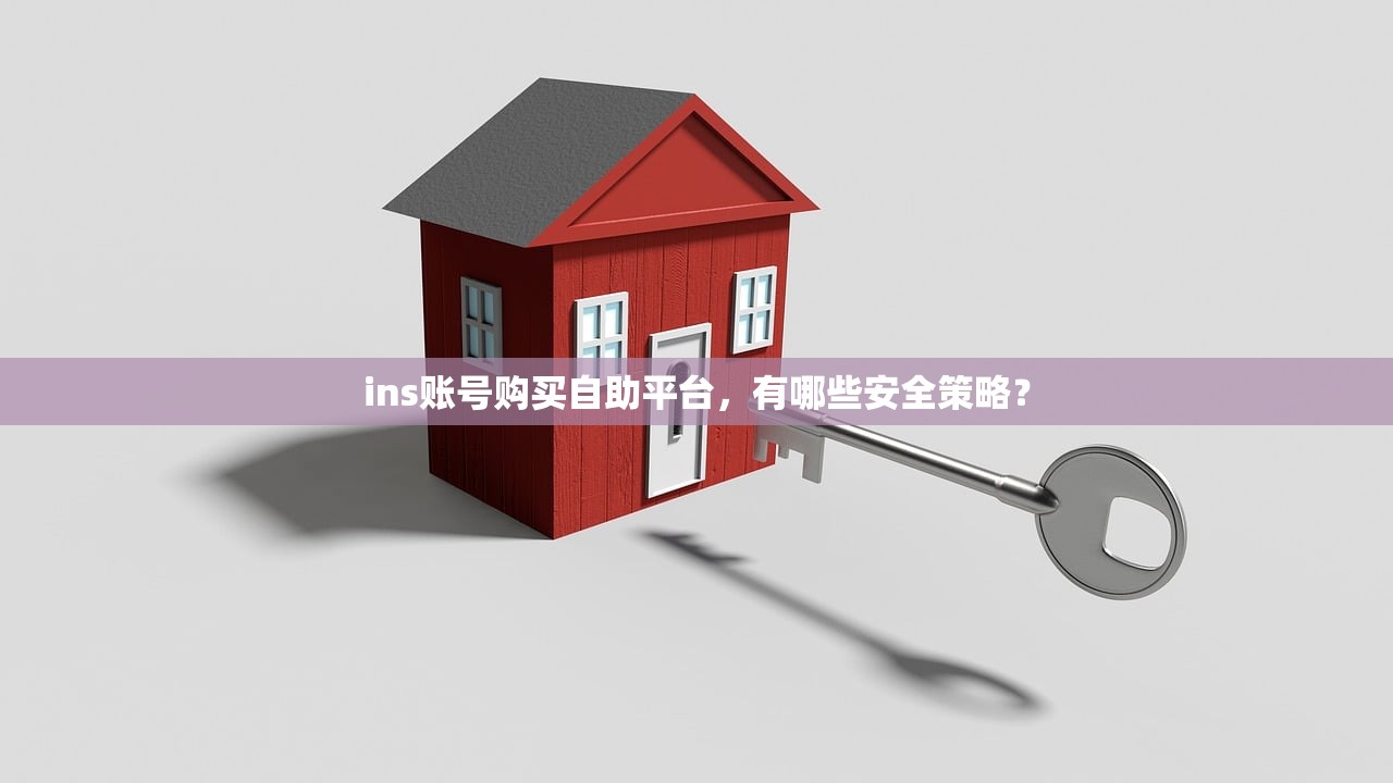 ins账号购买自助平台,有哪些安全策略?