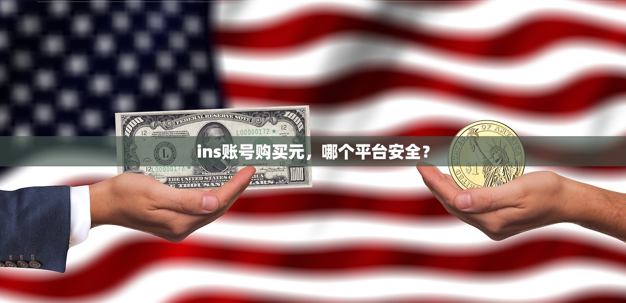 ins账号购买元，哪个平台安全？