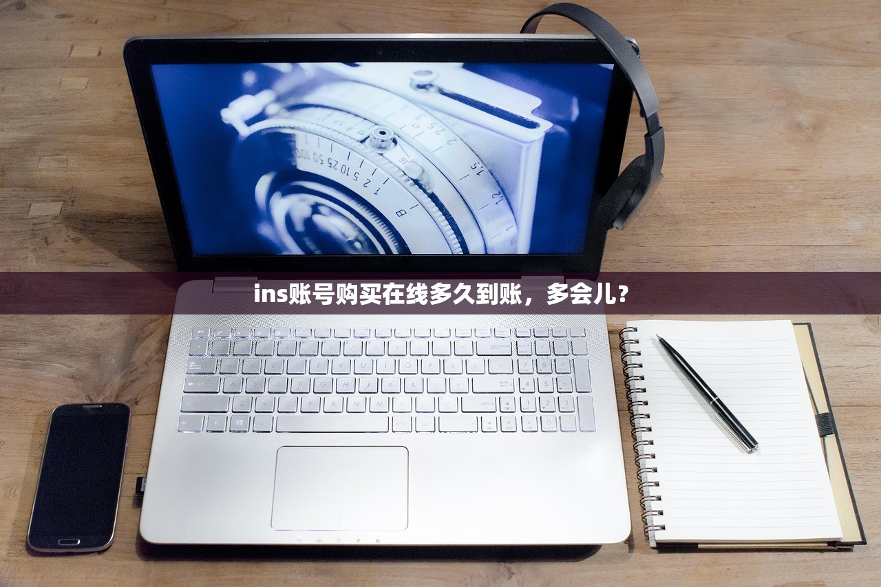 ins账号购买在线多久到账，多会儿？