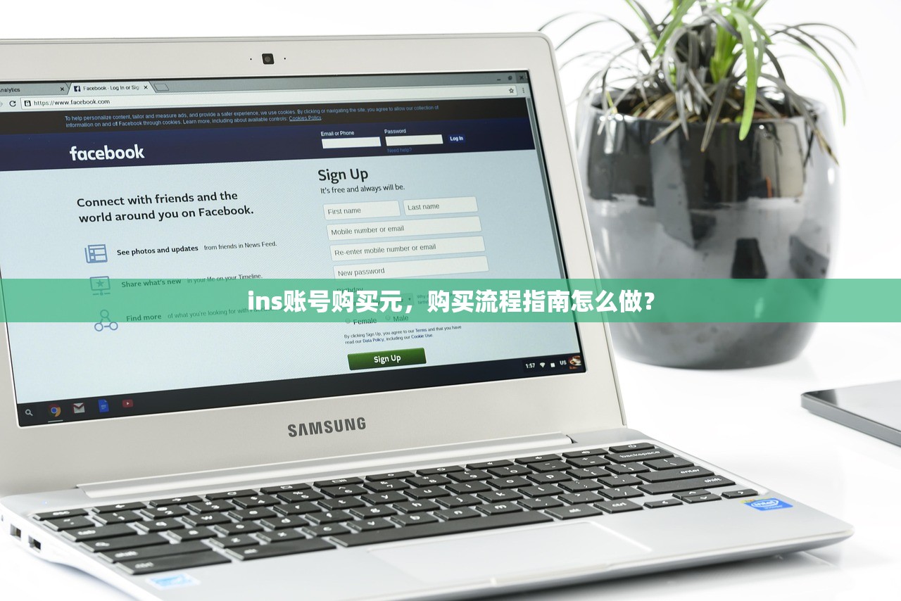 ins账号购买元,购买流程指南怎么做?