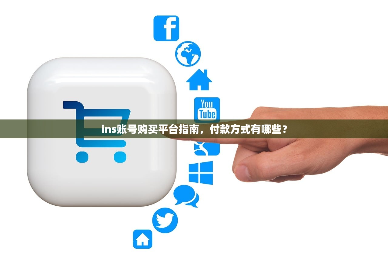 ins账号购买平台指南,付款方式有哪些?