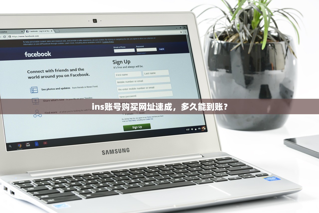 ins账号购买网址速成，多久能到账？