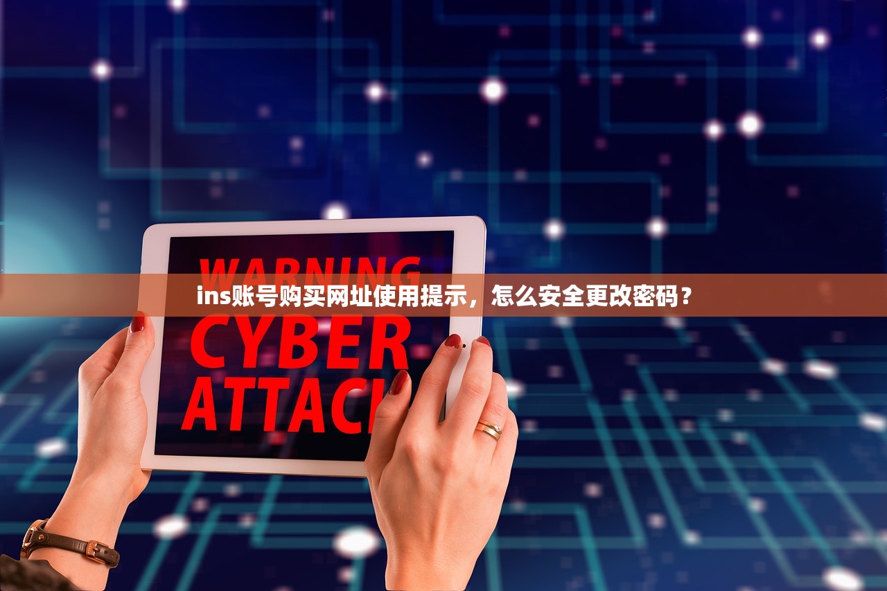 ins账号购买网址使用提示，怎么安全更改密码？