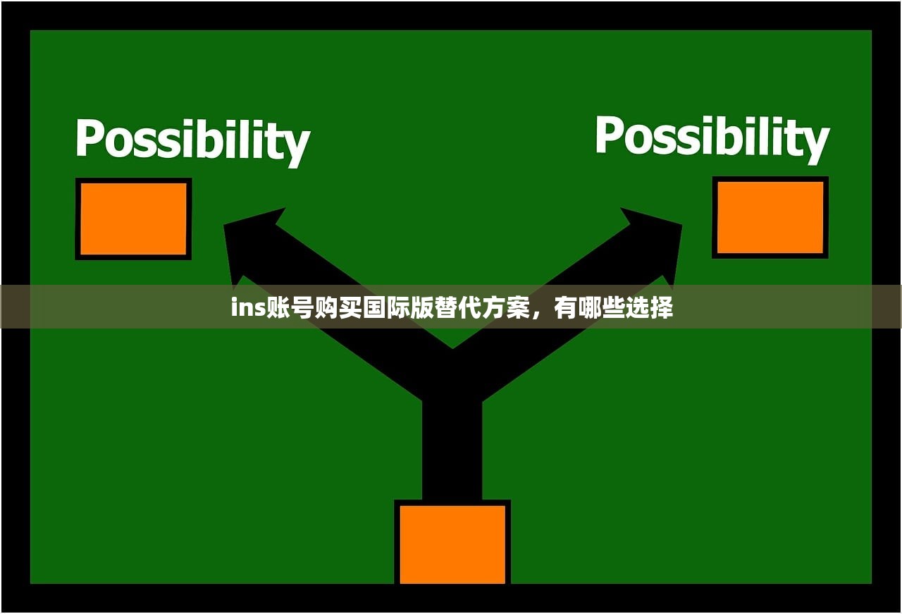 ins账号购买国际版替代方案,有哪些选择