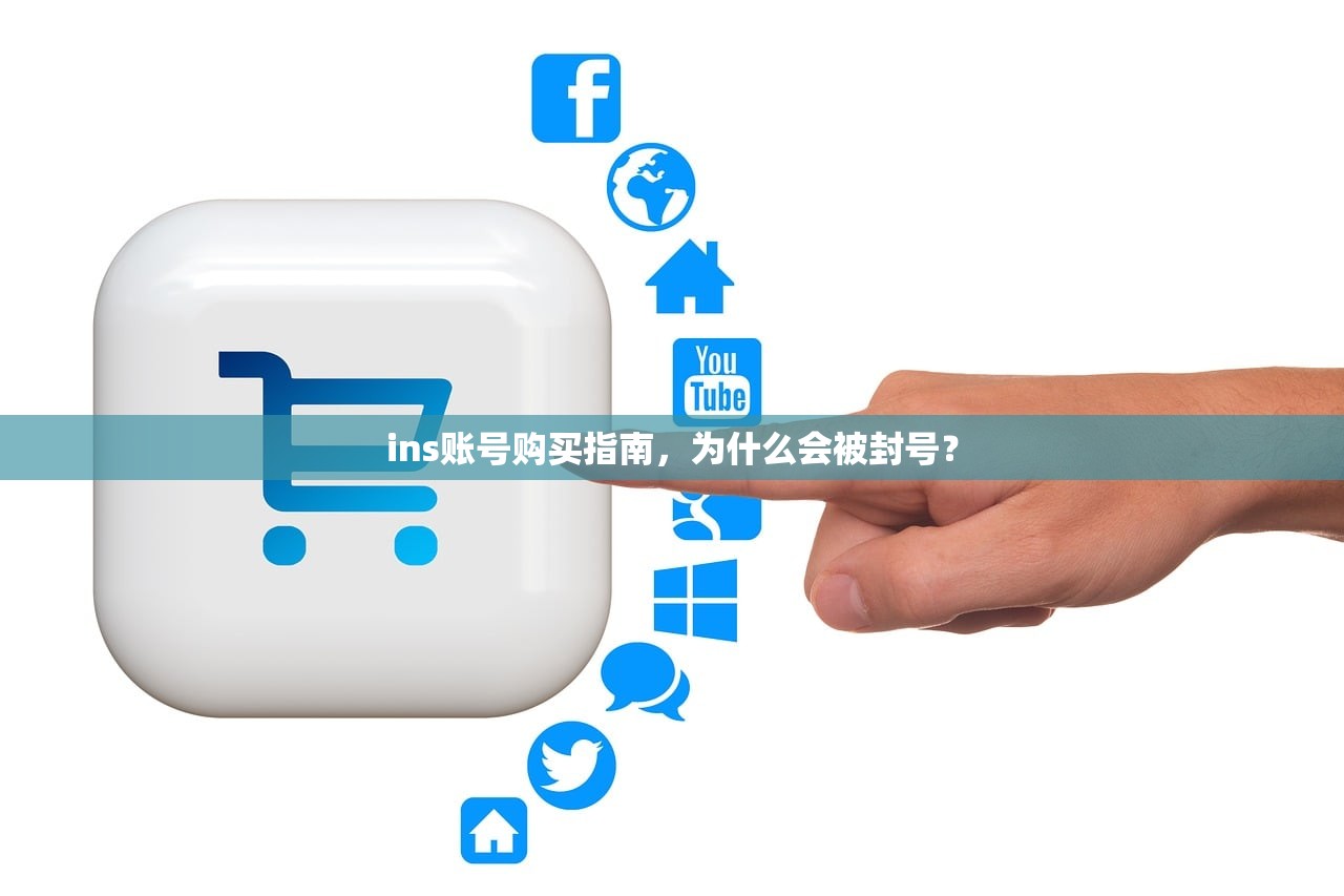 ins账号购买指南,为什么会被封号?