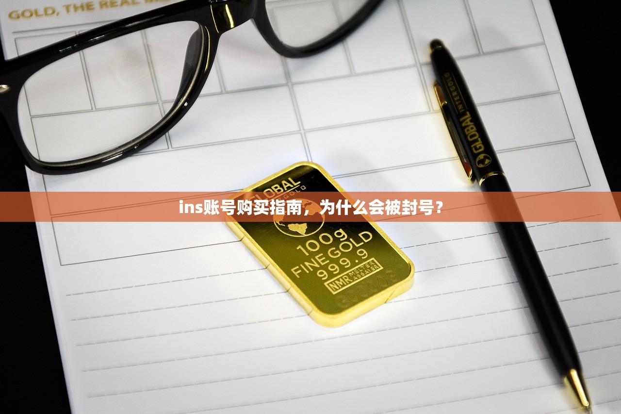 ins账号购买指南,为什么会被封号?